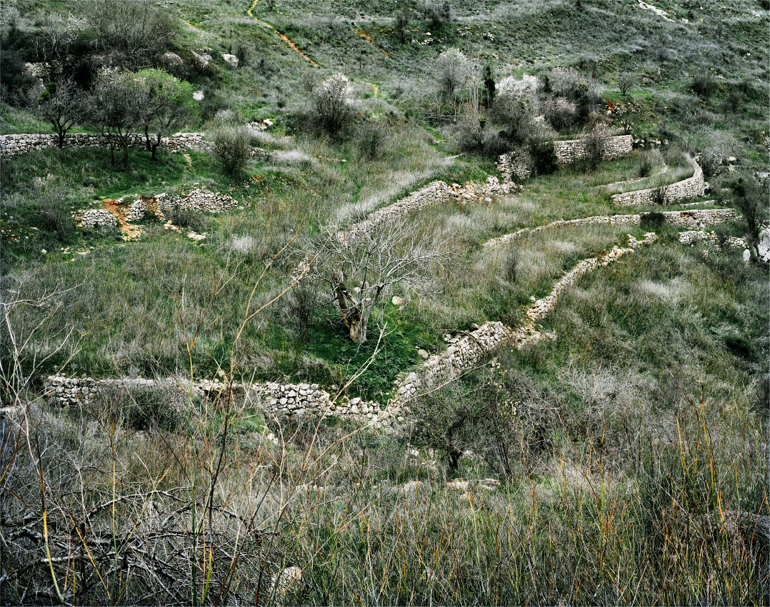 Lifta, district of Jerusalem